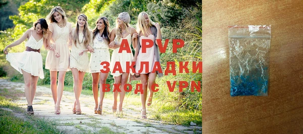 шишки Богородицк