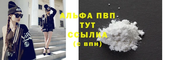 прущие грибы Беломорск