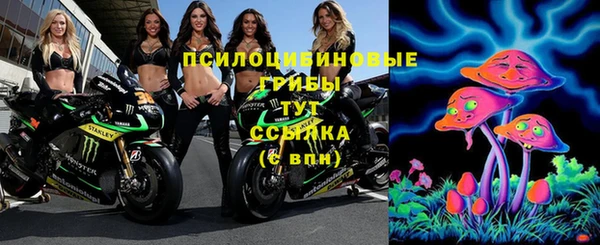 спайс Белокуриха