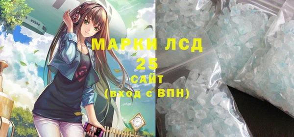 шишки Богородицк