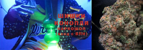 шишки Богородицк