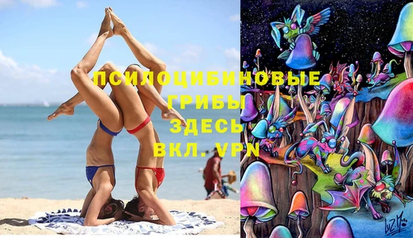 ECSTASY Сосновоборск