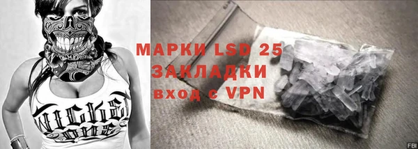шишки Богородицк
