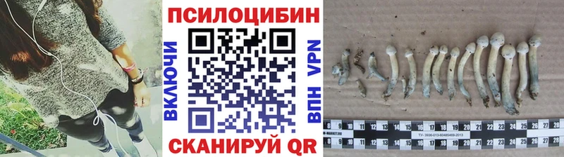 как найти   Микунь  мега ссылка  Галлюциногенные грибы мицелий 