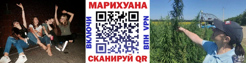 кракен вход  Микунь  Бошки марихуана THC 21% 